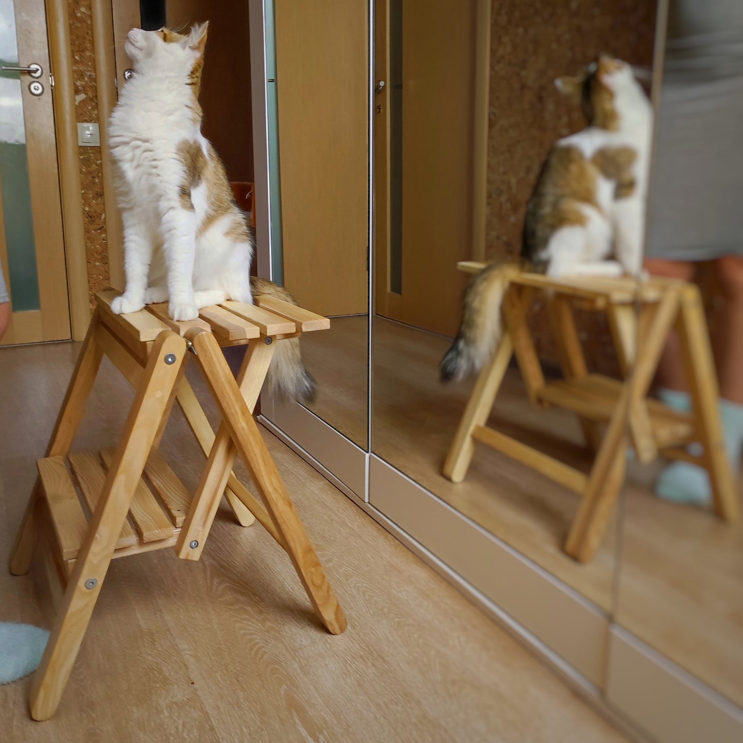 Foldable Woooden Step Stool (2-step Ladder)